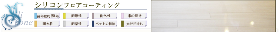 シリコンフロアコーティング