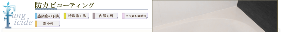 防カビコーティング